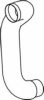 TEMSA TC298822163Y Exhaust Pipe